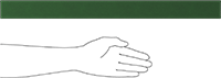 5346N131