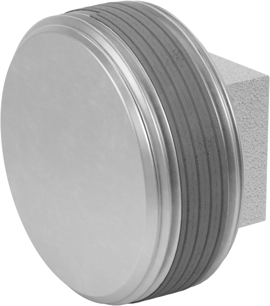 Sızdırmazlık Maddeli Düşük Basınçlı Demir Boru Bağlantı Elemanı, Dış Kare Tahrikli Fiş, 2-1/2 NPT Erkek