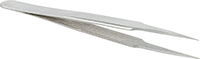 5669A84