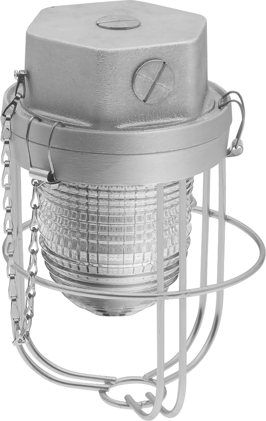 1 Light (Shown with Lens Guard)
