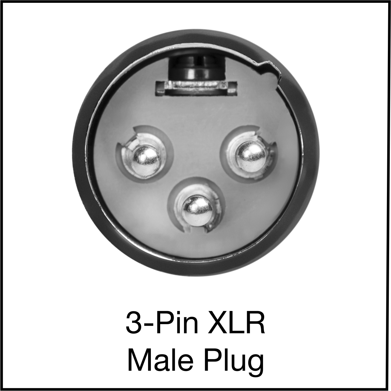 Mikrofon Fiş Adaptörü, XLR3 Erkek