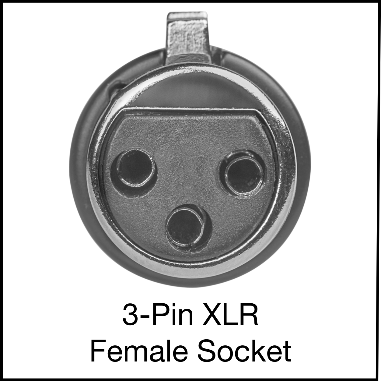 XLR3 Socket (Female)