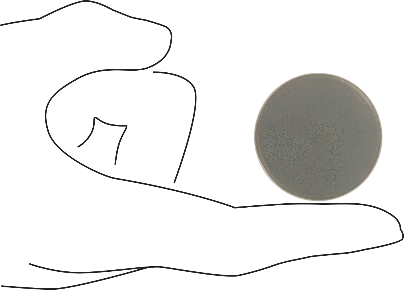 PVC Vidalı Çekiç Yüzü, Ekstra Yumuşak, 1-1/2" Çap