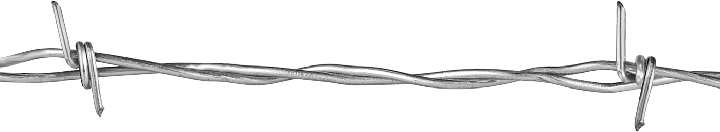 5989T1