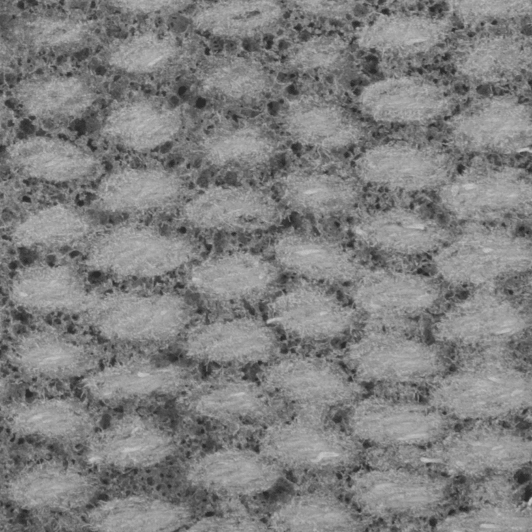 Yüksek Mukavemetli Fren ve Debriyaj Sürtünme Kaplaması, 1/4“ Kalınlık x 1-1/2” Genişlik
