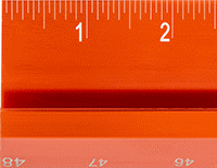 6236N16