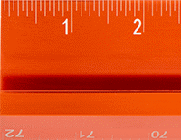 6236N17