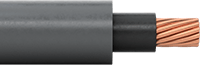 6316N163