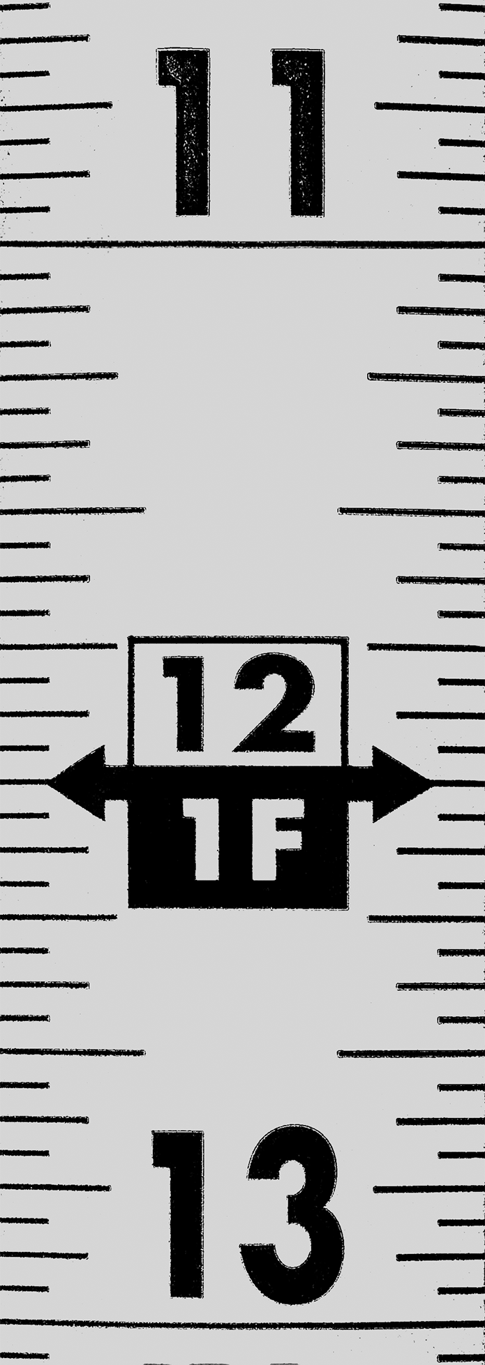 Inch (Back)