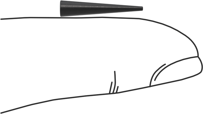 Kimyasal Dirençli EPDM Konik Tapa, 3/64“ ila 1/16” İç Çap için