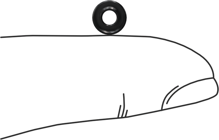 Kimyasallara Dayanıklı Viton® Floroelastomer O-Ring, X-Profil, 1/16 Kesirli Genişlik, Dash Numarası 005