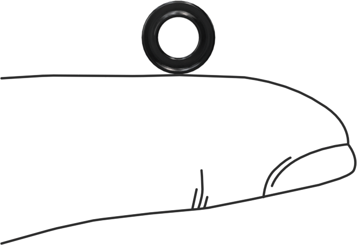 Kimyasallara Dayanıklı Viton® Floroelastomer O-Ring, X-Profil, 1/16 Kesirli Genişlik, Dash Numarası 008