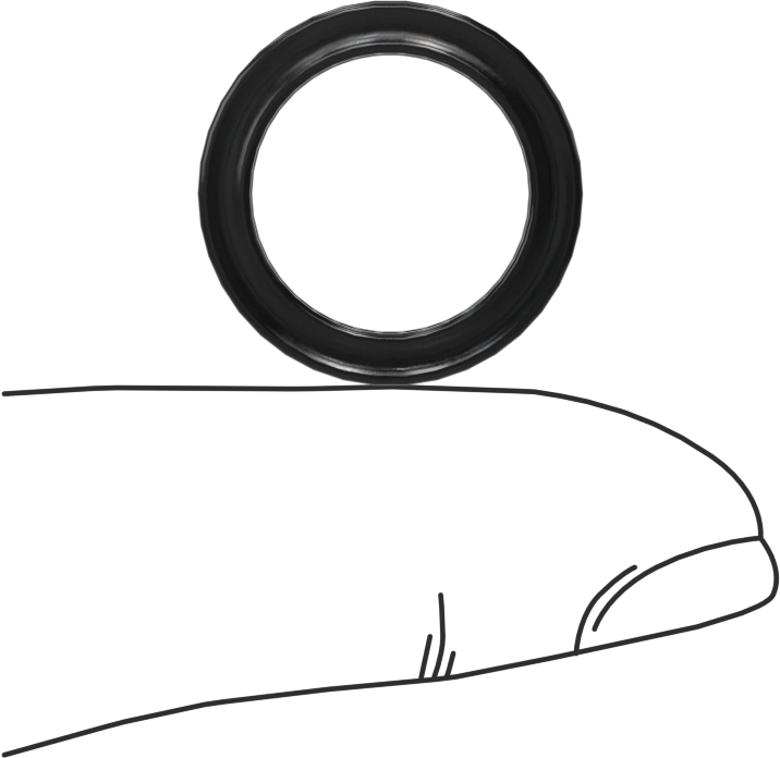 Kimyasallara Dayanıklı Viton® Floroelastomer O-Ring, X-Profil, 3/32 Kesirli Genişlik, Dash Numarası 113