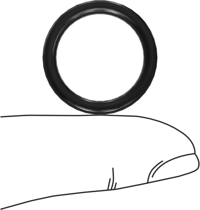 Kimyasallara Dayanıklı Viton® Floroelastomer O-Ring, X-Profil, 3/32 Kesirli Genişlik, Dash No. 115
