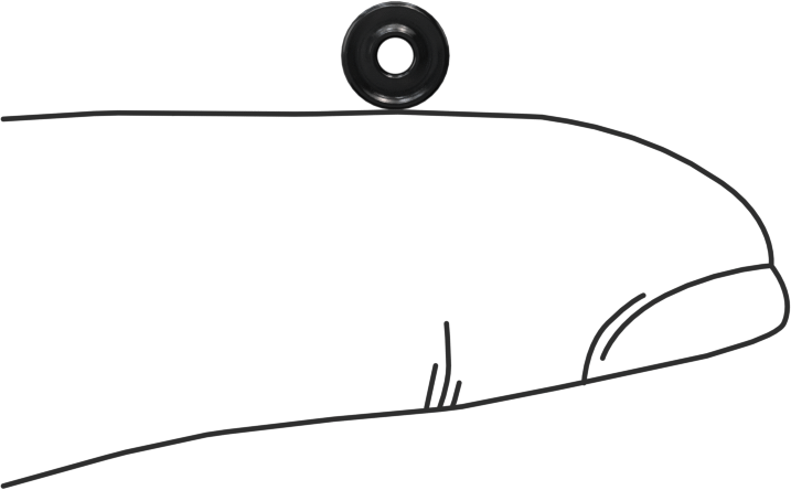 Kimyasallara Dayanıklı Viton® Floroelastomer O-Ring, X-Profil, 1/16 Kesirli Genişlik, Dash Numarası 004