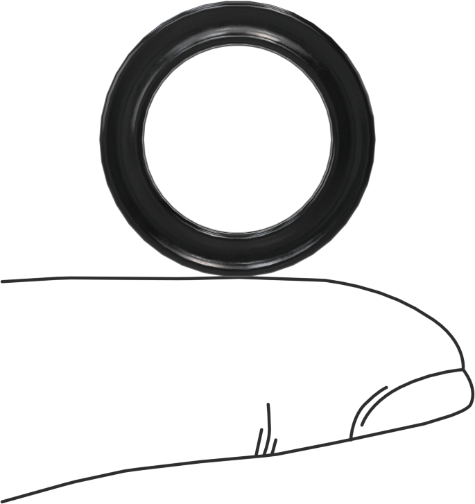 Kimyasallara Dayanıklı Viton® Floroelastomer O-Ring, X-Profil, 1/8 Kesirli Genişlik, Dash Numara 208