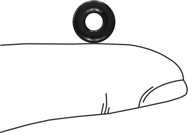 Kimyasallara Dayanıklı Viton® Floroelastomer O-Ring, X-Profil, 3/32 Kesirli Genişlik, Dash No. 105