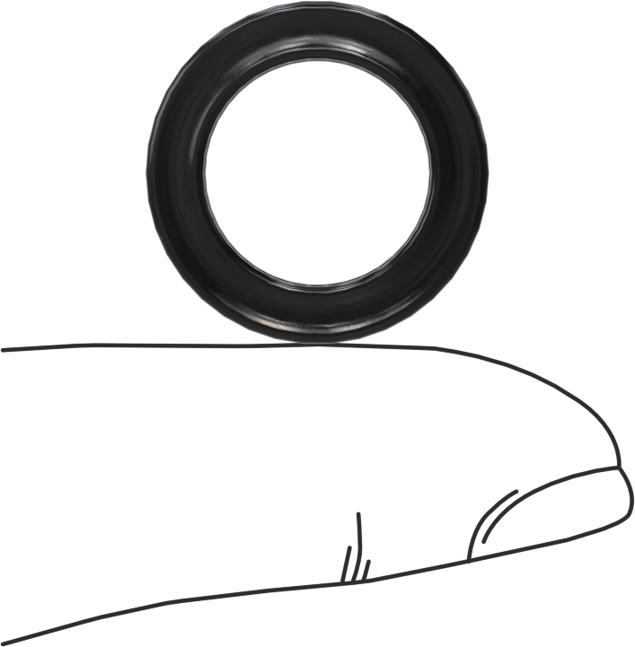 Kimyasallara Dayanıklı Viton® Floroelastomer O-Ring, X-Profil, 1/8 Kesirli Genişlik, Dash No. 207