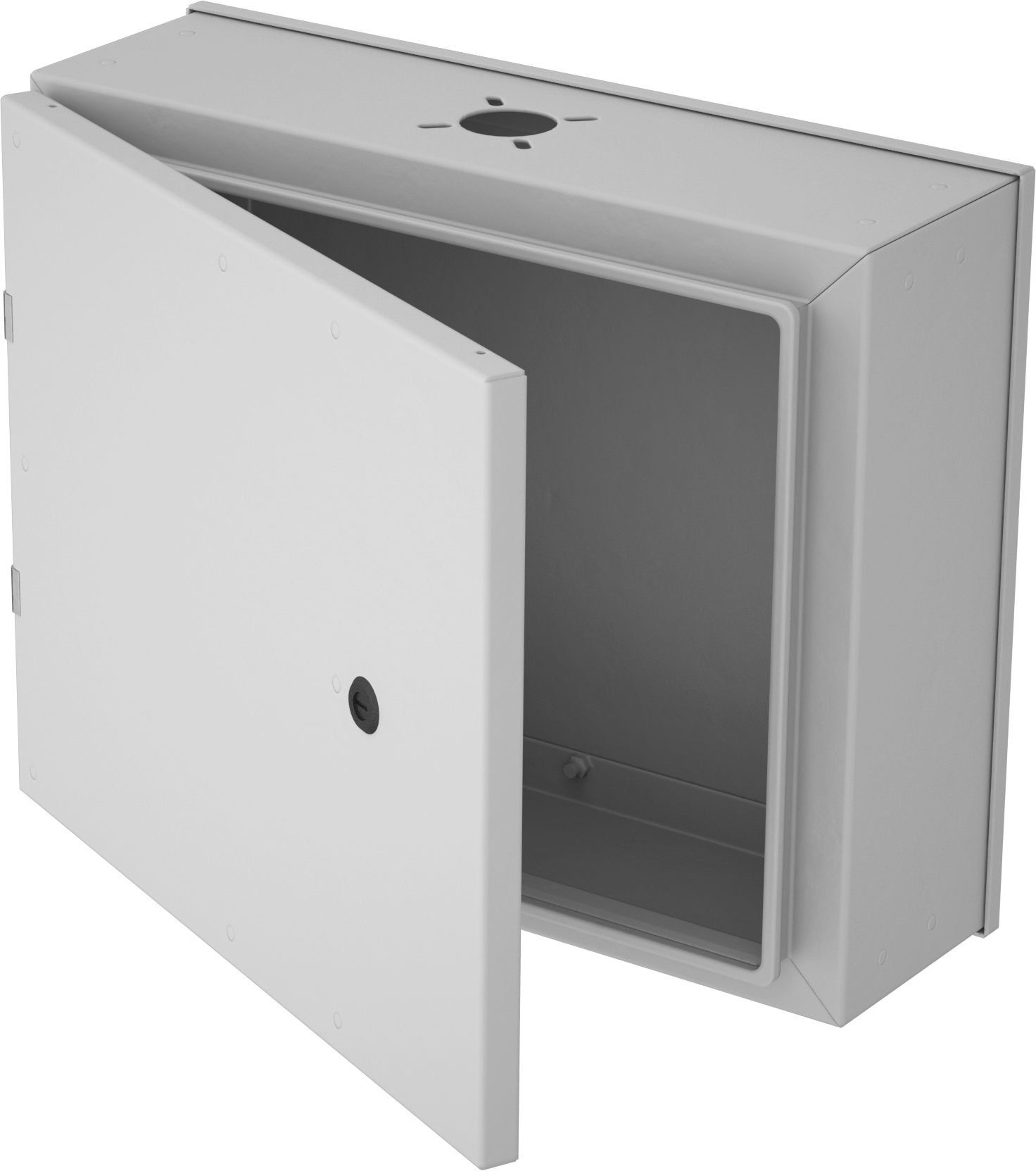 Rear Access Door