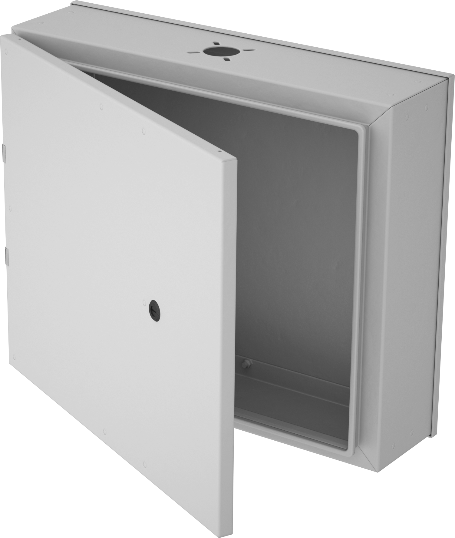 Rear Access Door