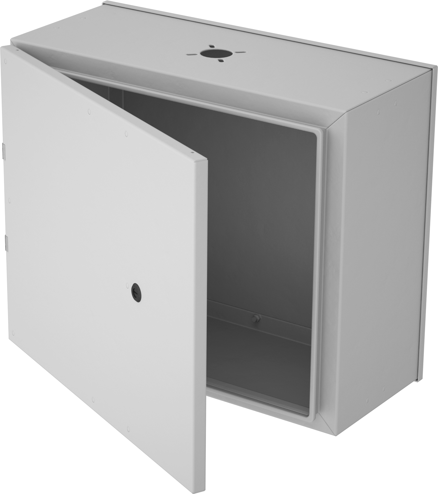 Rear Access Door