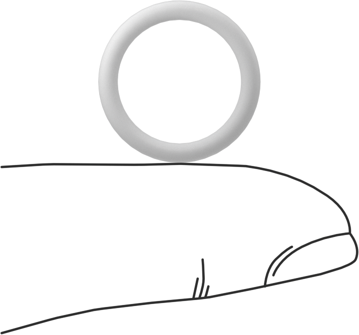 Ultra Kimyasal Dirençli Sert PTFE O-Ringler, Düz Dişli Bağlantılar için, Dash No. 907