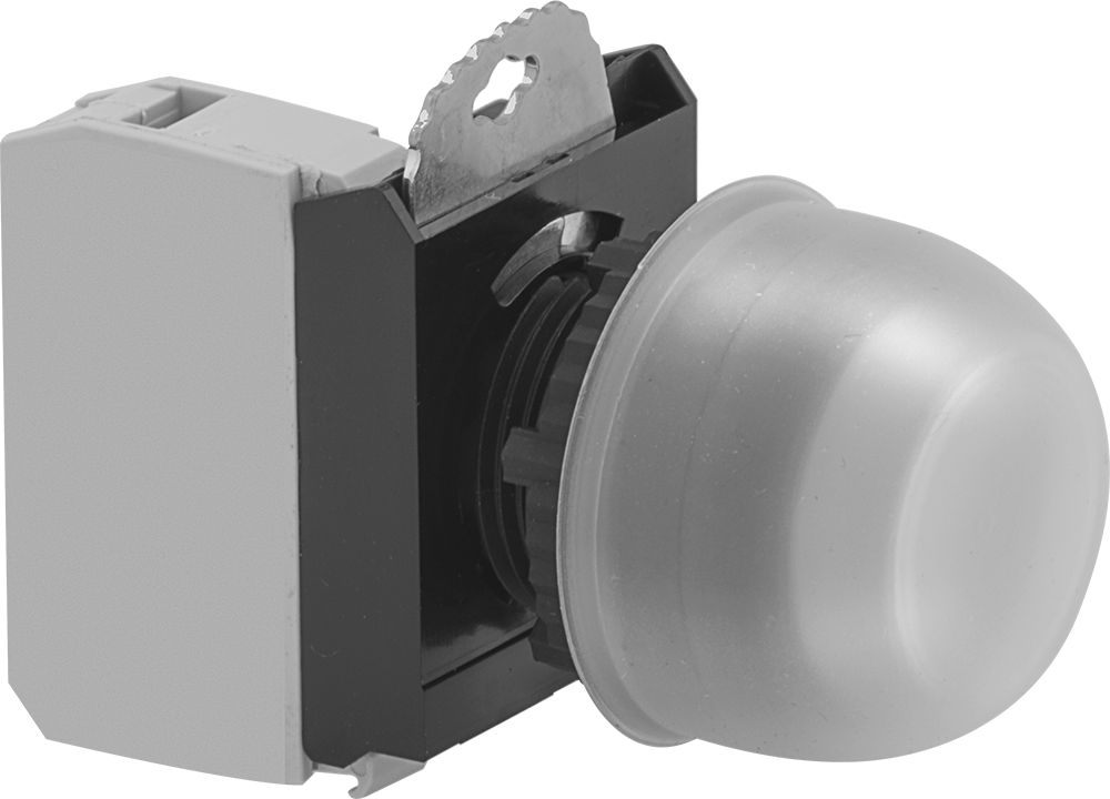 Round Flush with Cover