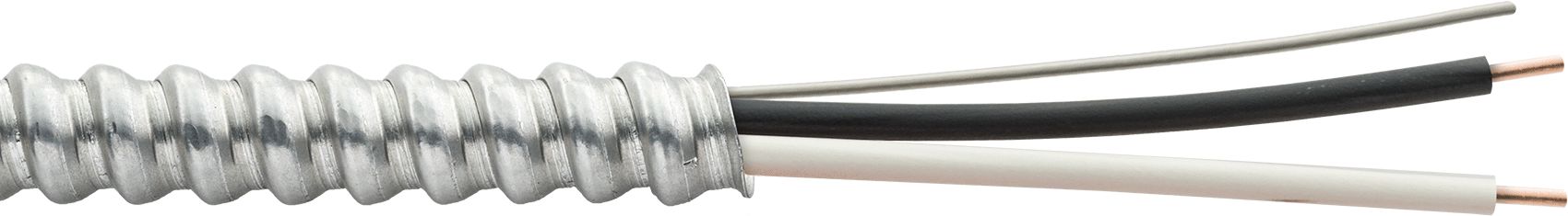 Zırhlı Bina Kablosu, Yalıtımsız Topraklama Kablosu ile, 14 AWG, 2 Tel
