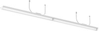 6806N113