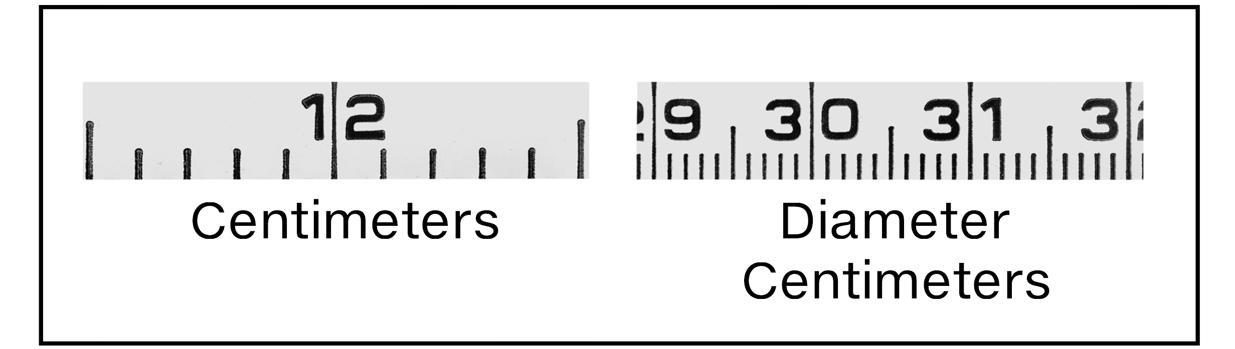 Metric