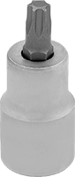 Torx Uç Soketleri