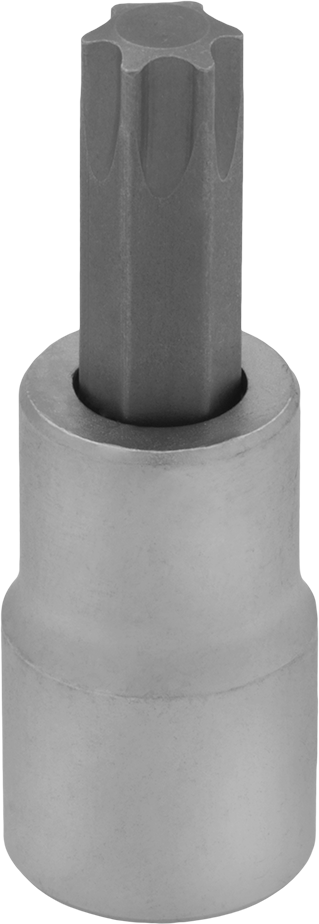Torx Uç Soketi, 3/8" Kare Tahrik, T50 Boyutu, 2" Uzunluk