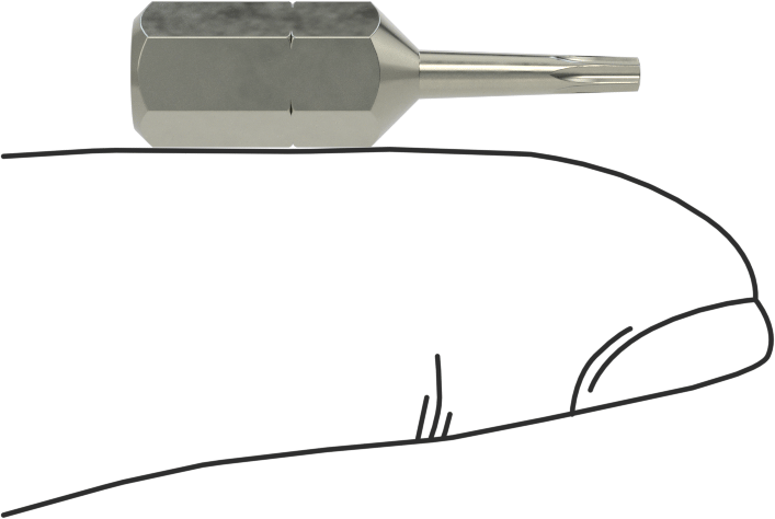 Vida Tutucu T6 Torx Ucu, 1/4" Altıgen Şaft