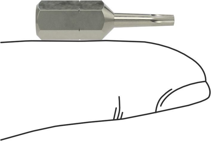 Vida Tutucu T7 Torx Ucu, 1/4" Altıgen Şaft
