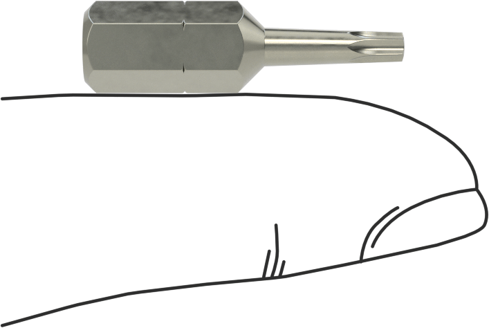 Vida Tutucu T8 Torx Ucu, 1/4" Altıgen Şaft