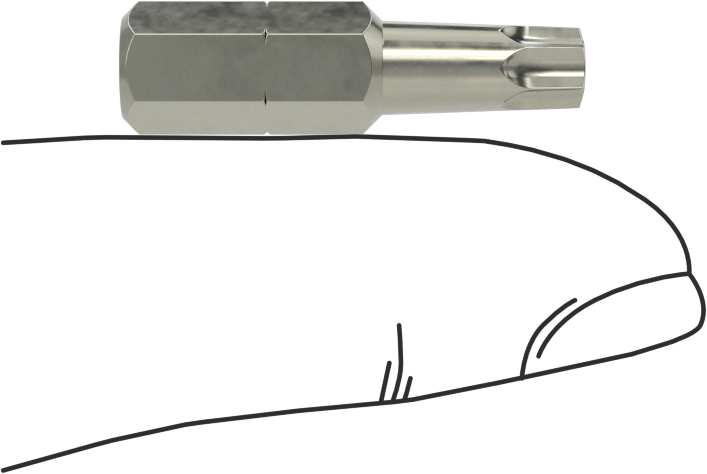 Vida Tutucu T25 Torx Ucu, 1/4" Altıgen Şaft