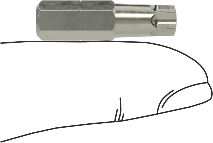 Vida Tutucu T30 Torx Ucu, 1/4" Altıgen Şaft