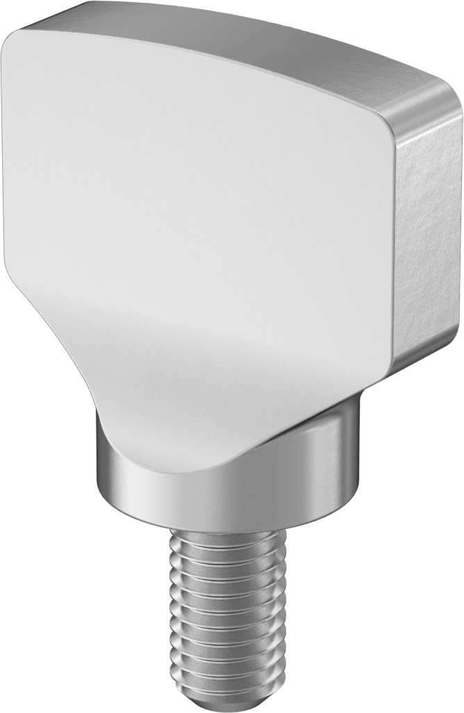 Sıhhi Kürek Başlı Parmak Vidası, M10 x 1,50 mm Diş Boyutu, 20 mm Uzunluk