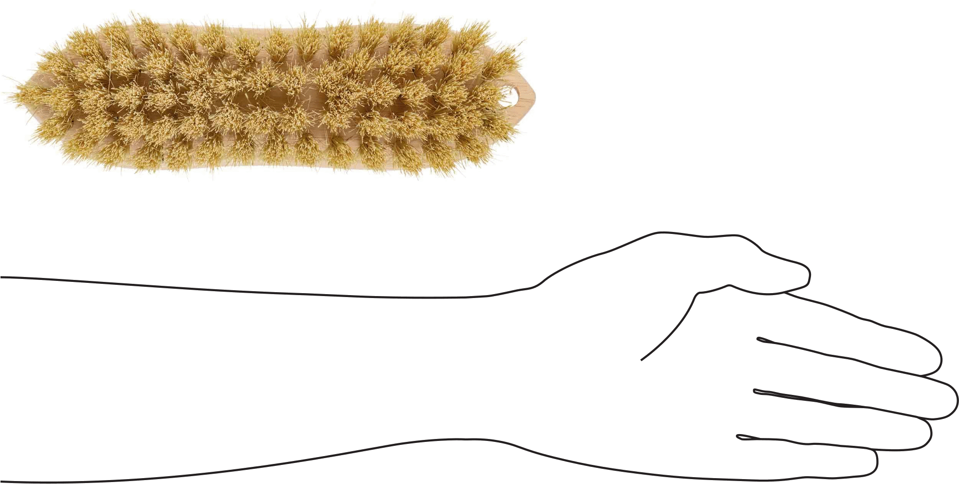 Fırça, 2-1/2" x 8-1/2", 9" Toplam Uzunluk