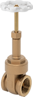 7229N19