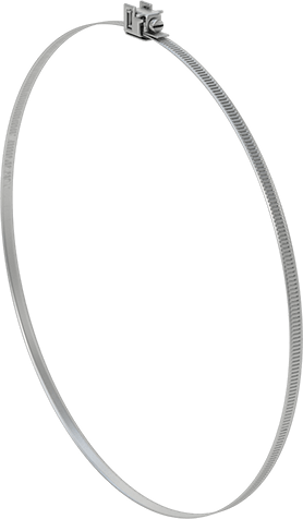 7269N19