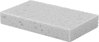 Süngerler