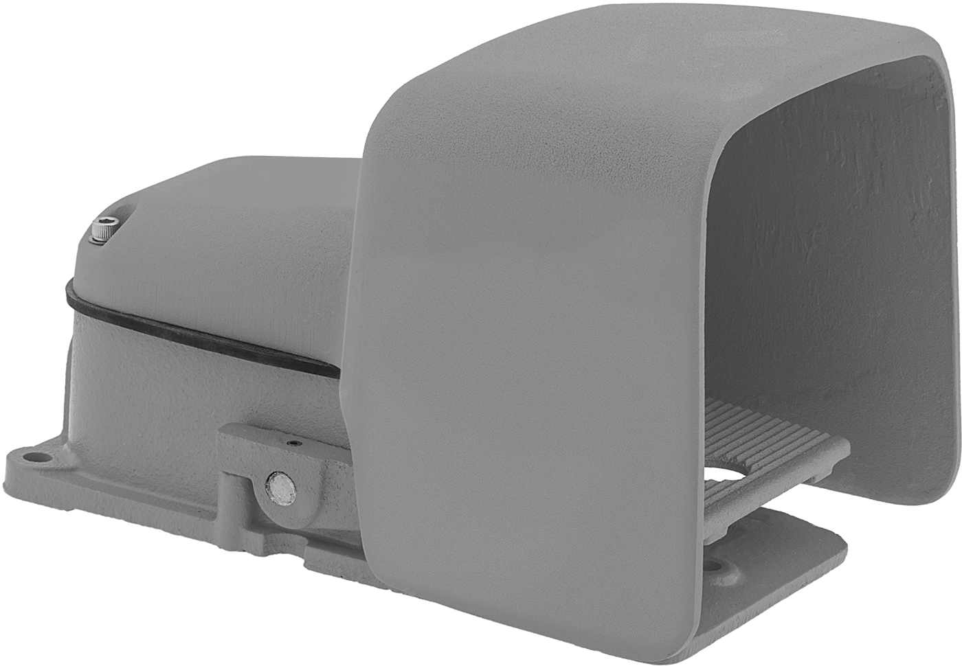 Switch with Oversized Guard