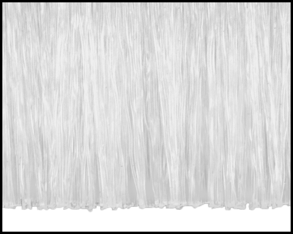 Gıda Endüstrisi Sıkı Sızdırmaz Şerit Fırçalar, 3/16“ Genişlik x 7/32” Destek, 1" Toplam Yükseklik