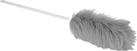 Toz Bezleri
