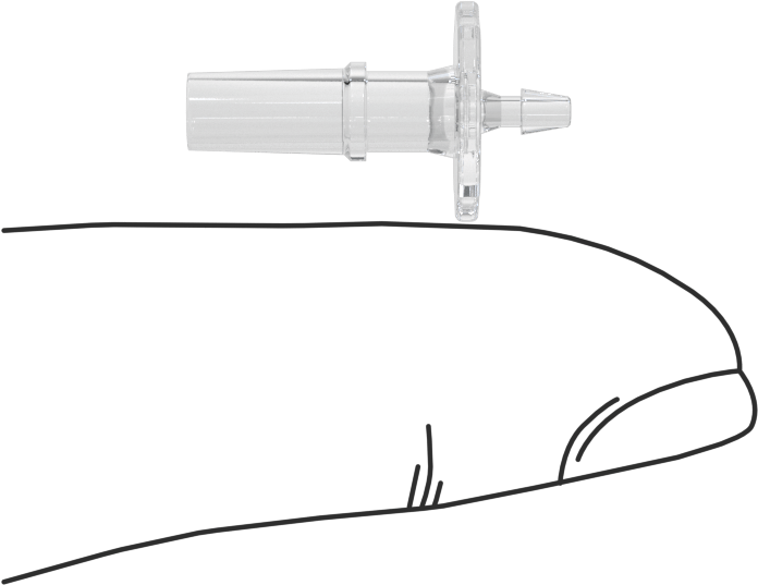 Luer Lock Boru Bağlantısı, Fişler, Poliolefin, 1/16" Dikenli Boru İç Çapı için, Şeffaf