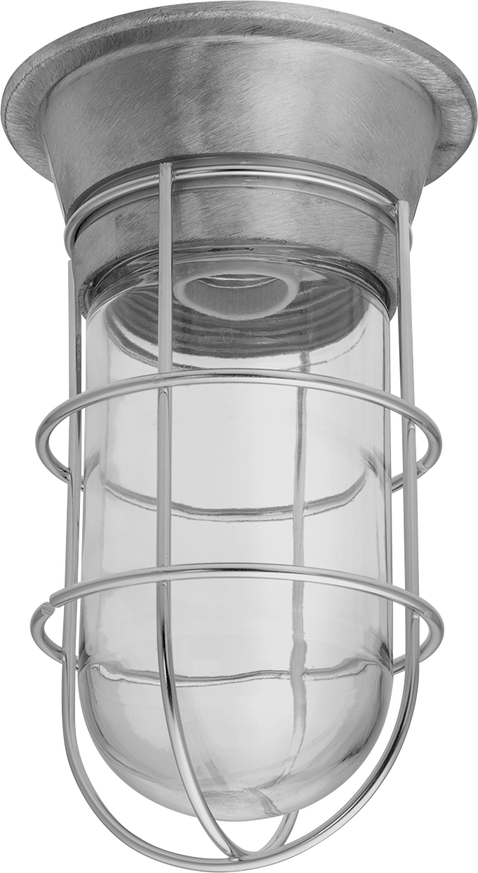 Light with Guard