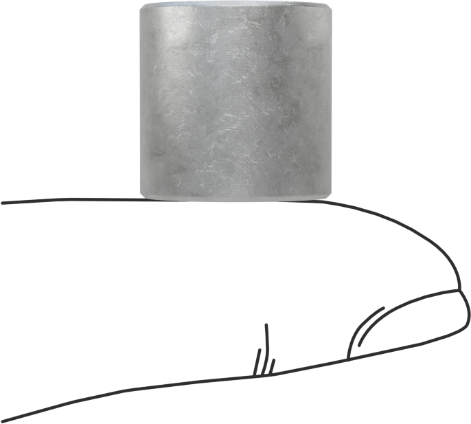 Yüksek Basınçlı Galvanizli Çelik Boru Bağlantı Elemanı, Düz Adaptör, 1/8 NPT Dişi x Alın Kaynağı