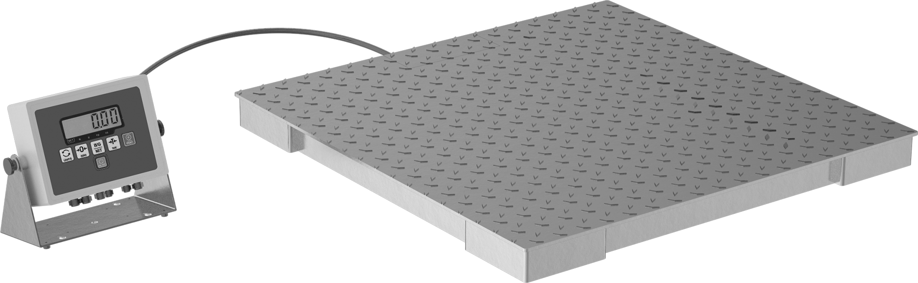 Scale
