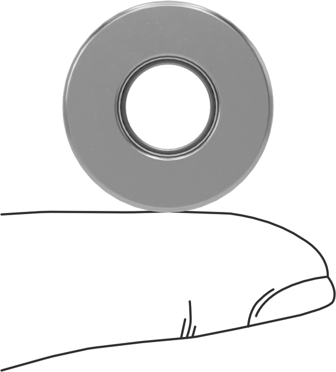 Eksenel Bilyalı Rulman, 10 mm Mil Çapı için, 24 mm OD